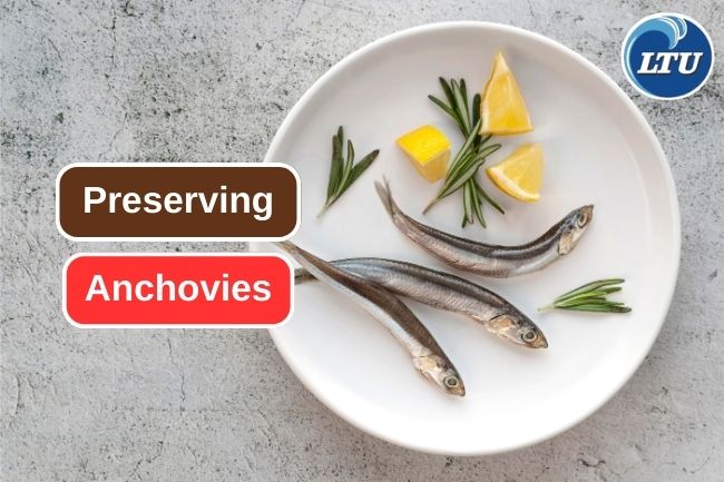 The Best Methods for Preserving Anchovies